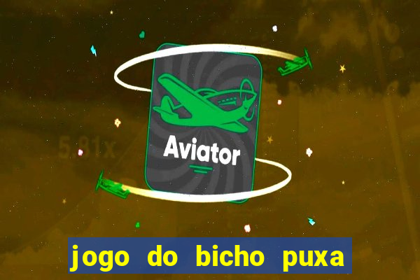 jogo do bicho puxa de dona maria